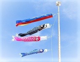 carp-streamer-0502.jpg